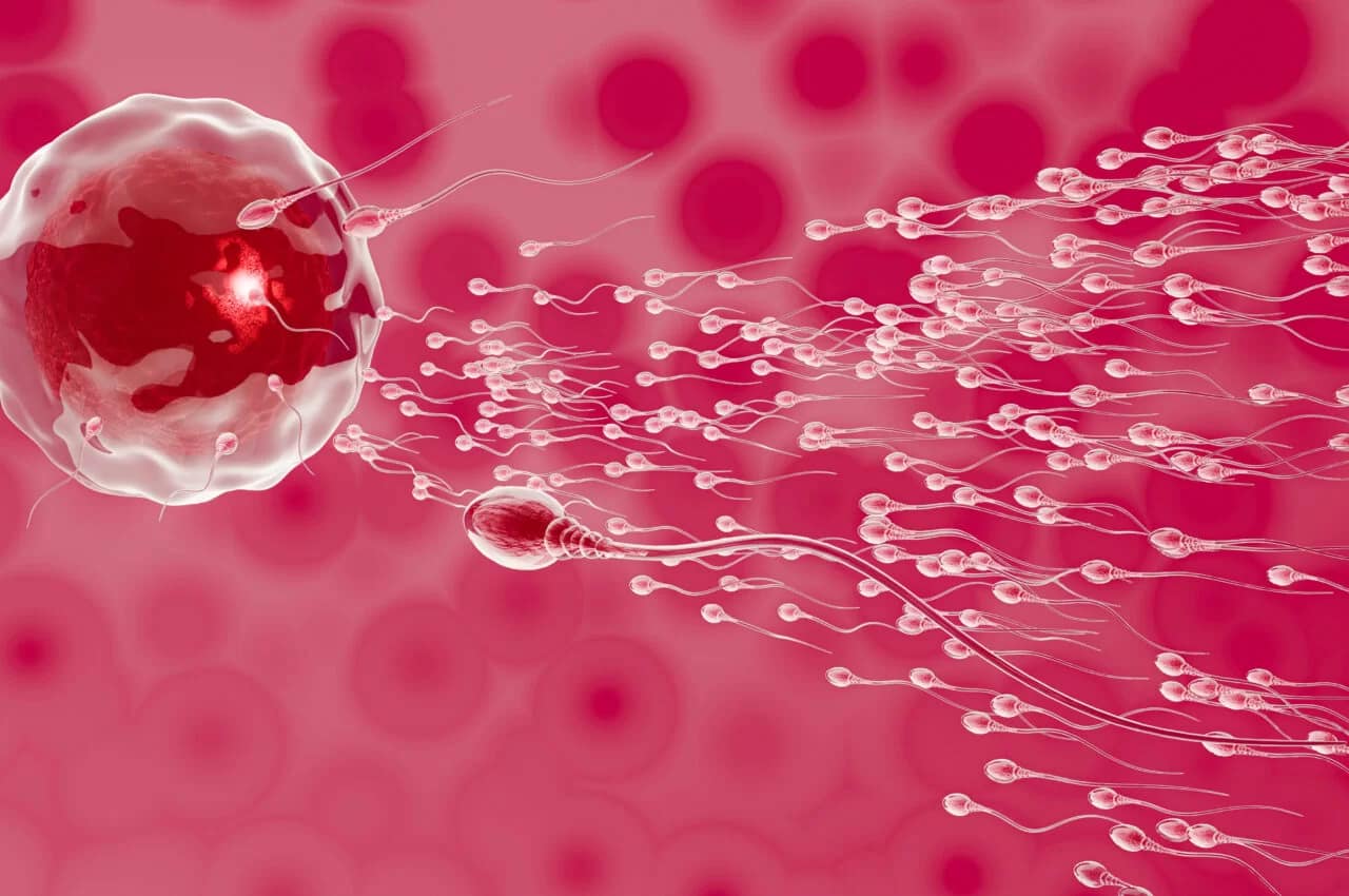 Do you need a sperm donor? Do you feel guilty that you failed your wife/partner?